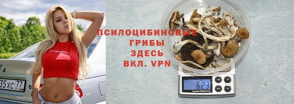 мет Кадников